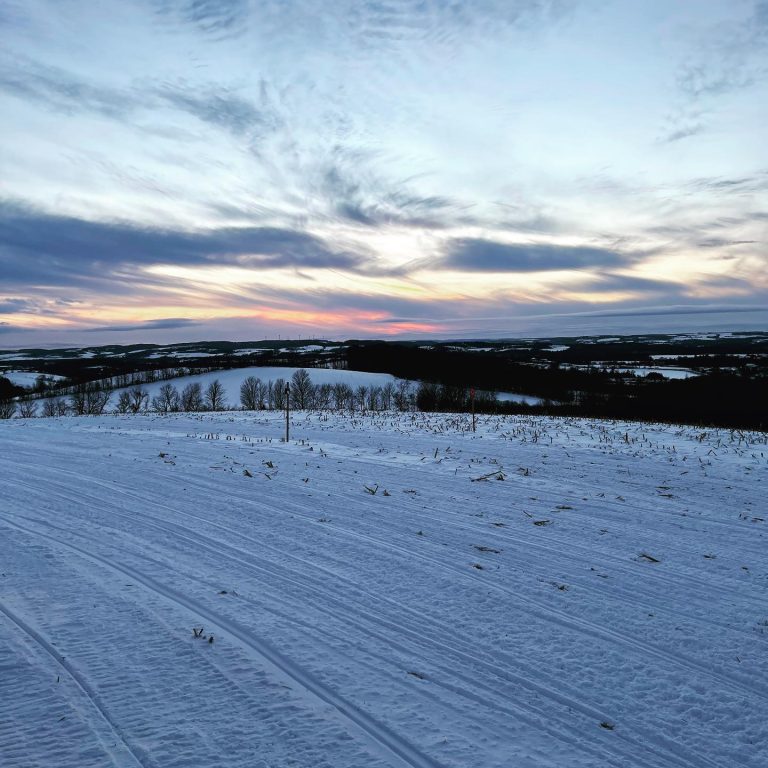 EZ Riders trail